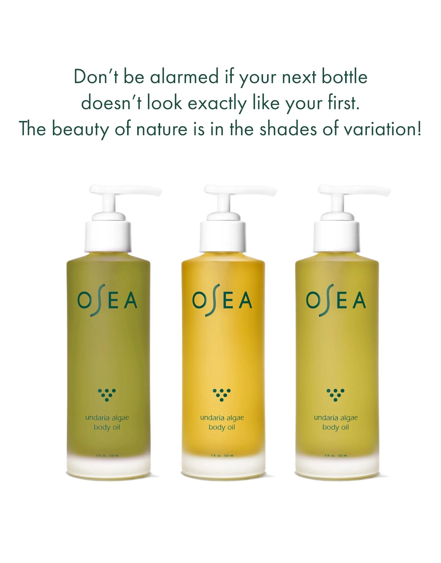 Undaria Algae Body Oil - Image 3