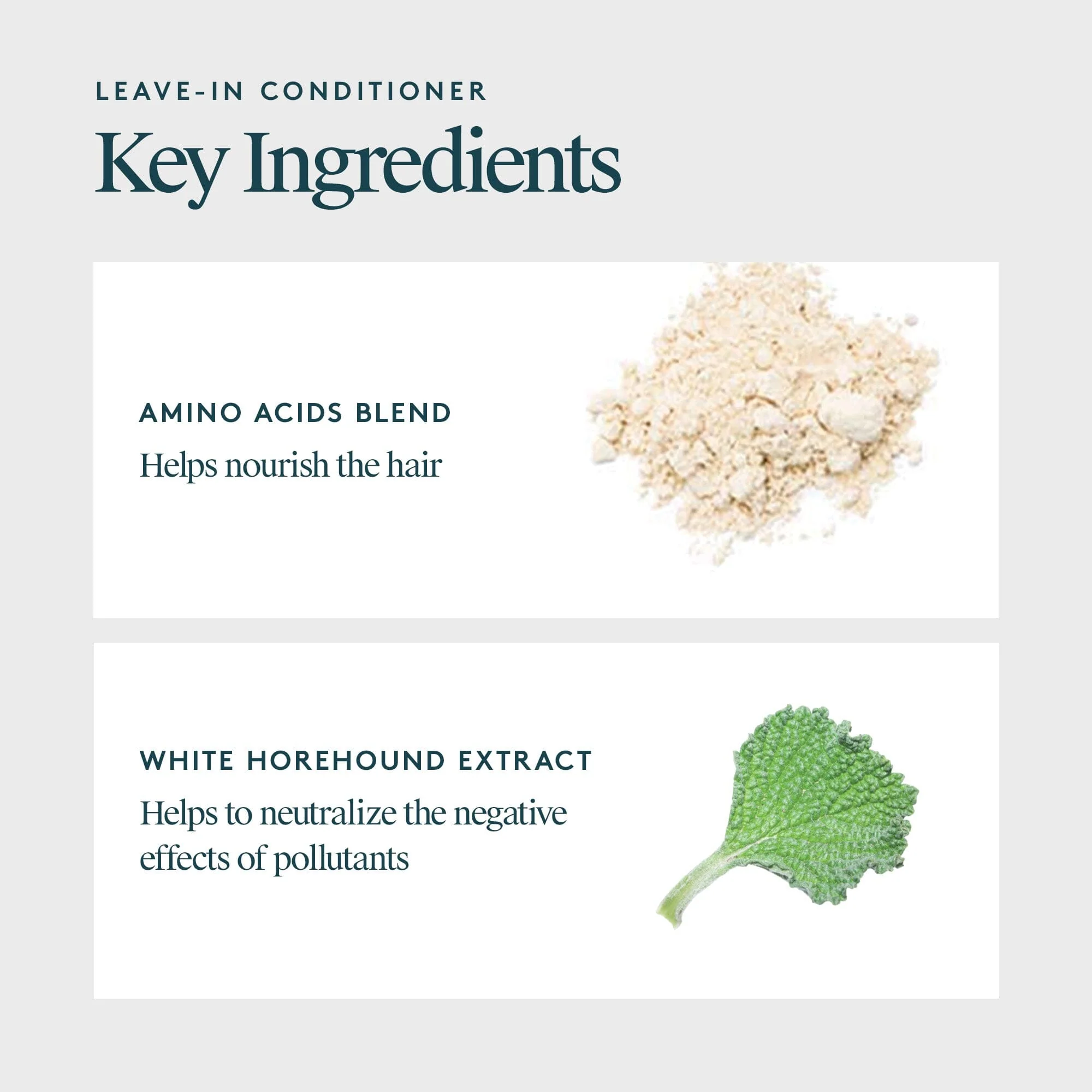 Virtue® Purifying Leave-In Conditioner - Image 4